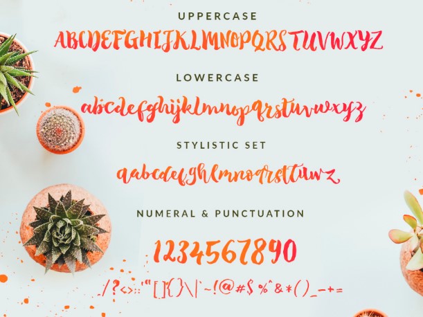The Tropical Font View