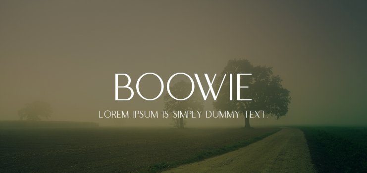Boowie Sans Serif Font